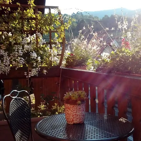 Gasthuis Marcia Donatti - A L'ombre Des Coteaux Sao Paulo 3*