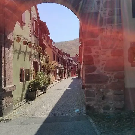 Marcia Donatti - A L'ombre Des Coteaux Sao Paulo Kaysersberg-Vignoble