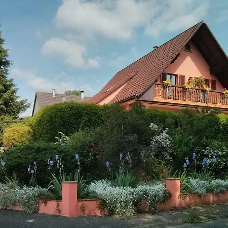 Marcia Donatti - A L'ombre Des Coteaux Sao Paulo Gasthuis Kaysersberg-Vignoble