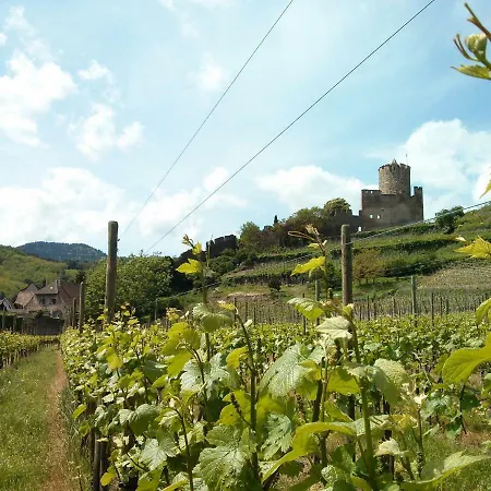 Marcia Donatti - A L'ombre Des Coteaux Sao Paulo Gasthuis 3*