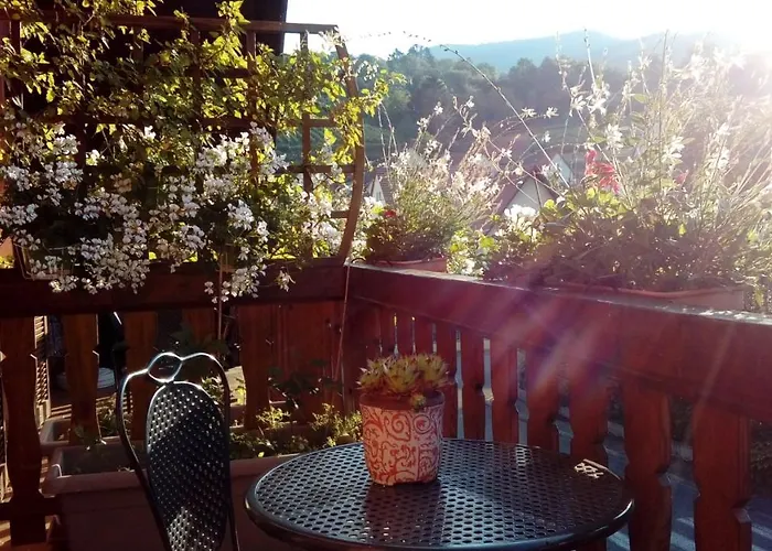 Guest house Marcia Donatti - A L'ombre Des Coteaux Sao Paulo 3*