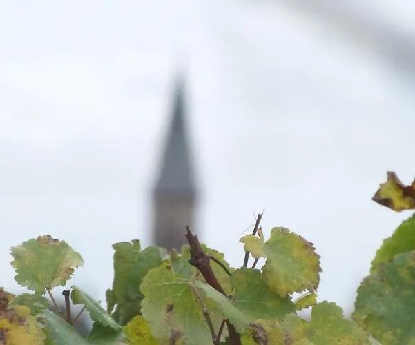 Marcia Donatti - A L'ombre Des Coteaux Sao Paulo Guest house 3*