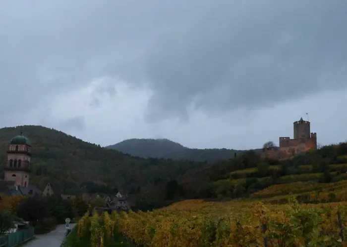Marcia Donatti - A L'ombre Des Coteaux Sao Paulo