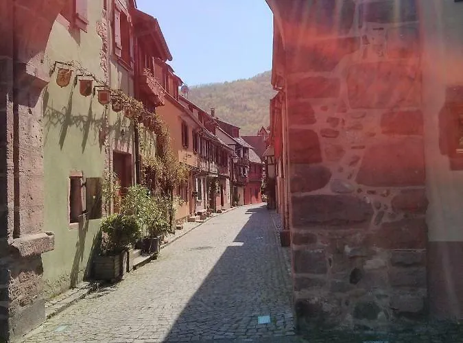 Marcia Donatti - A L'ombre Des Coteaux Sao Paulo Kaysersberg-Vignoble