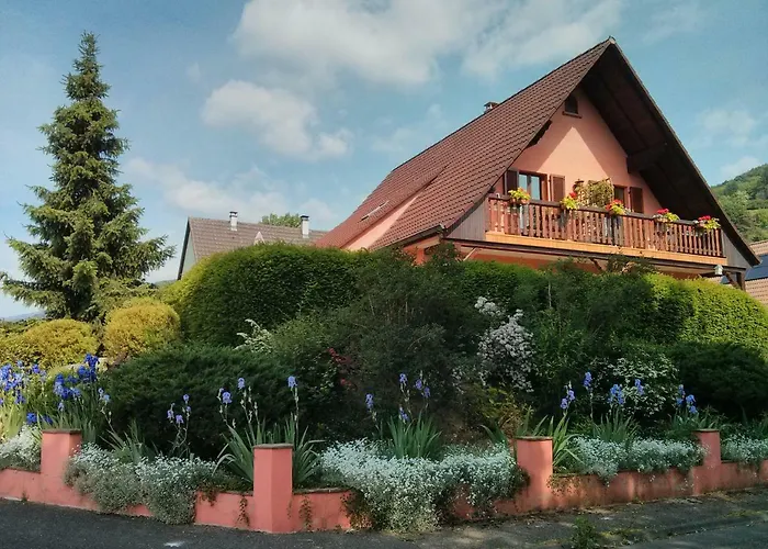 Marcia Donatti - A L'ombre Des Coteaux Sao Paulo Guest house Kaysersberg-Vignoble