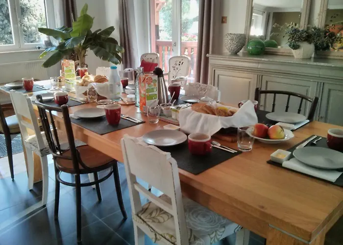 Marcia Donatti - A L'ombre Des Coteaux Sao Paulo Kaysersberg-Vignoble